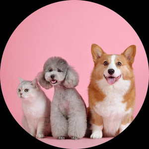 Pets